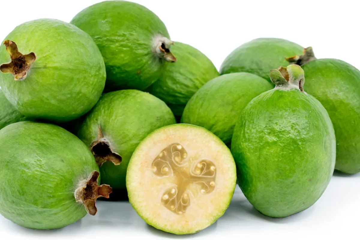 Feijoas