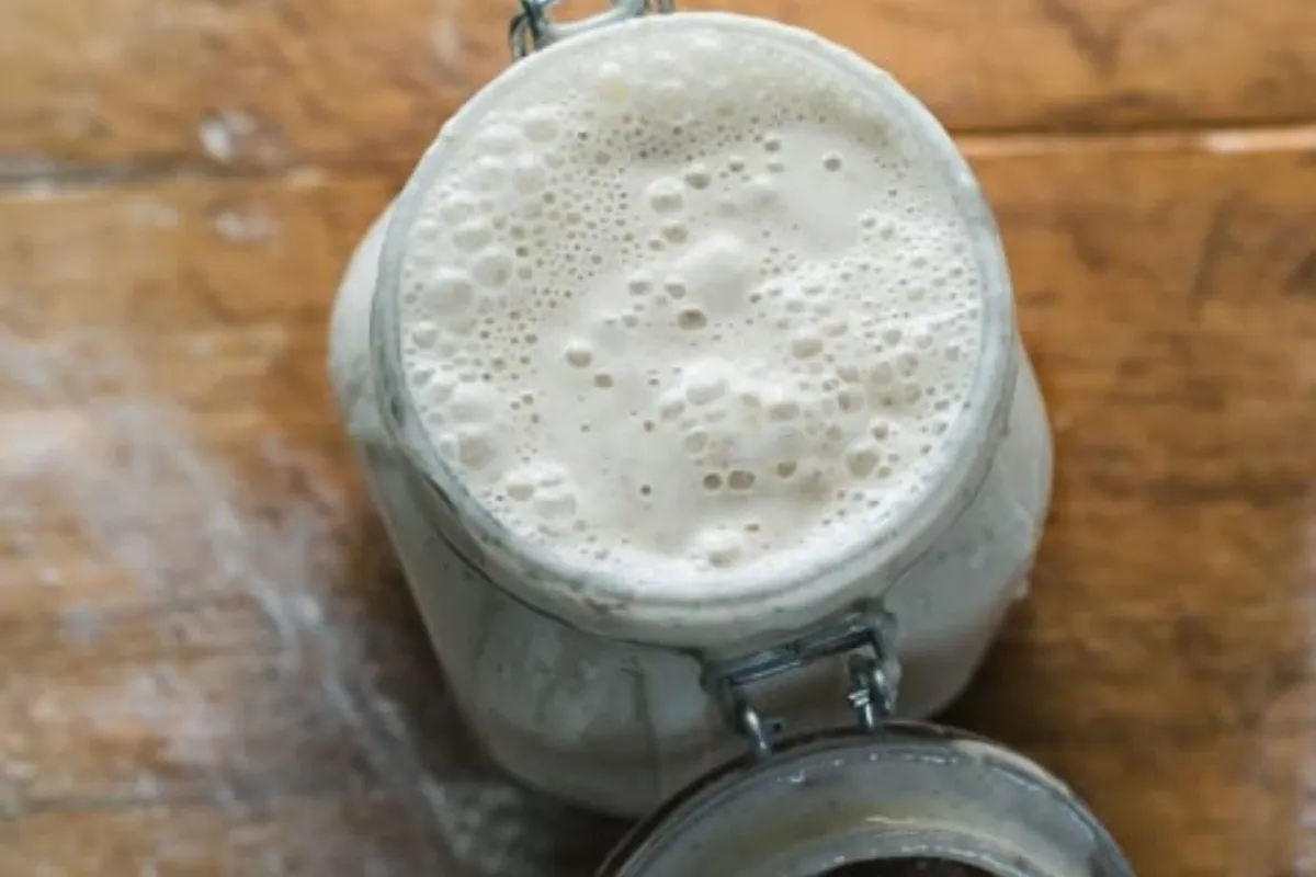 Sourdough Starter