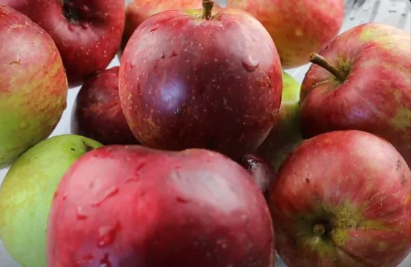 The Apple