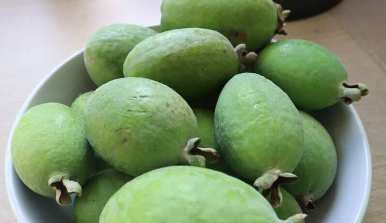 Feijoas